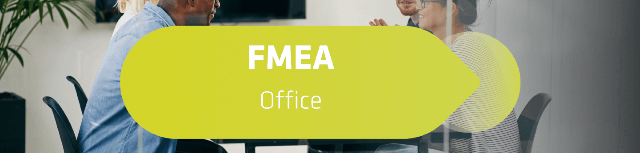 FMEA Office