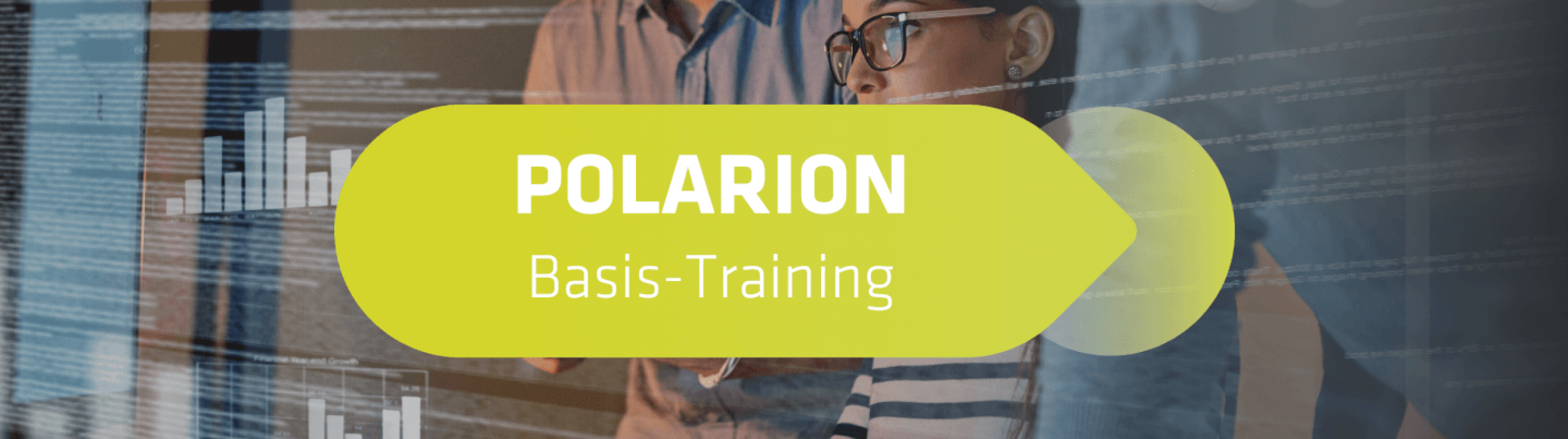 Polarion Basis-Training