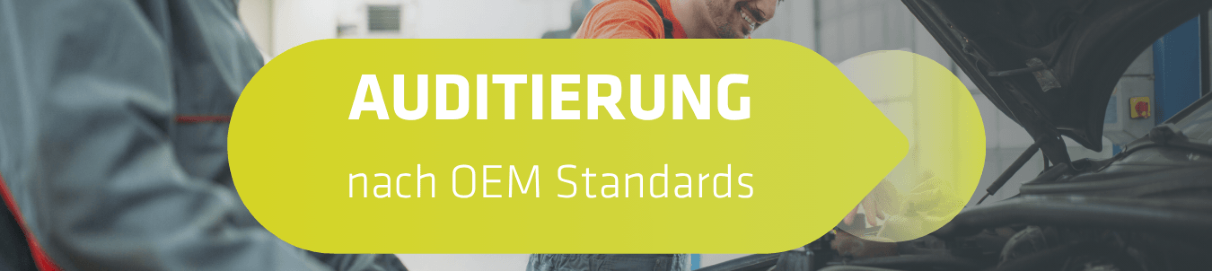 Beitragsbild Auditierung nach OEM Standards