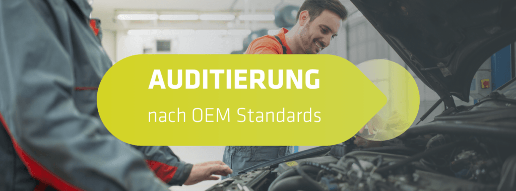 Beitragsbild Auditierung nach OEM Standards